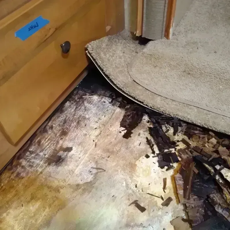 Wood Floor Water Damage in Edwards, CO